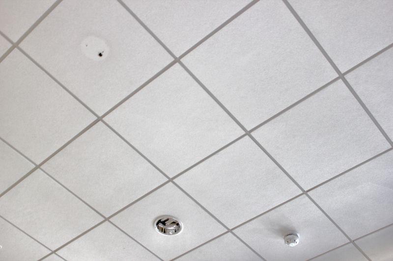 Ceiling Tiles Installation in Boulder, CO