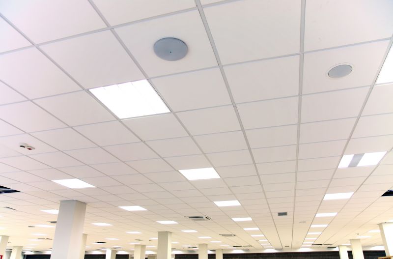 Grid Ceiling Repair in Saint Augustine, FL